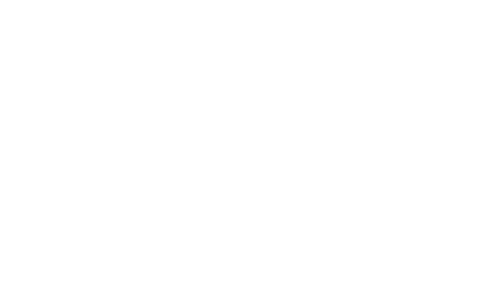 Southern Business Mentoring Program